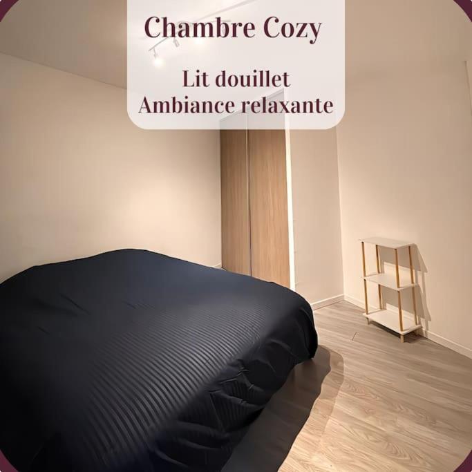 Appartement 2 Pieces Rdc En Duplex Vue Cour Parking Gratuit A 20Metres Roanne Dış mekan fotoğraf