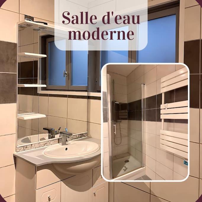 Appartement 2 Pieces Rdc En Duplex Vue Cour Parking Gratuit A 20Metres Roanne Dış mekan fotoğraf